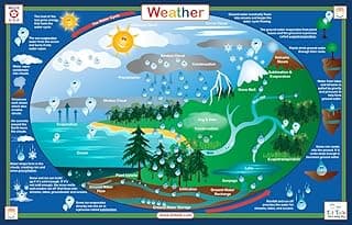 Weather Educational Placemat for Kids