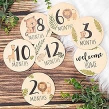 Baby Milestone Discs